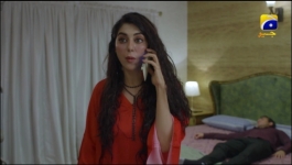 Haq Mehar - Episode 32 - 29th August 2024